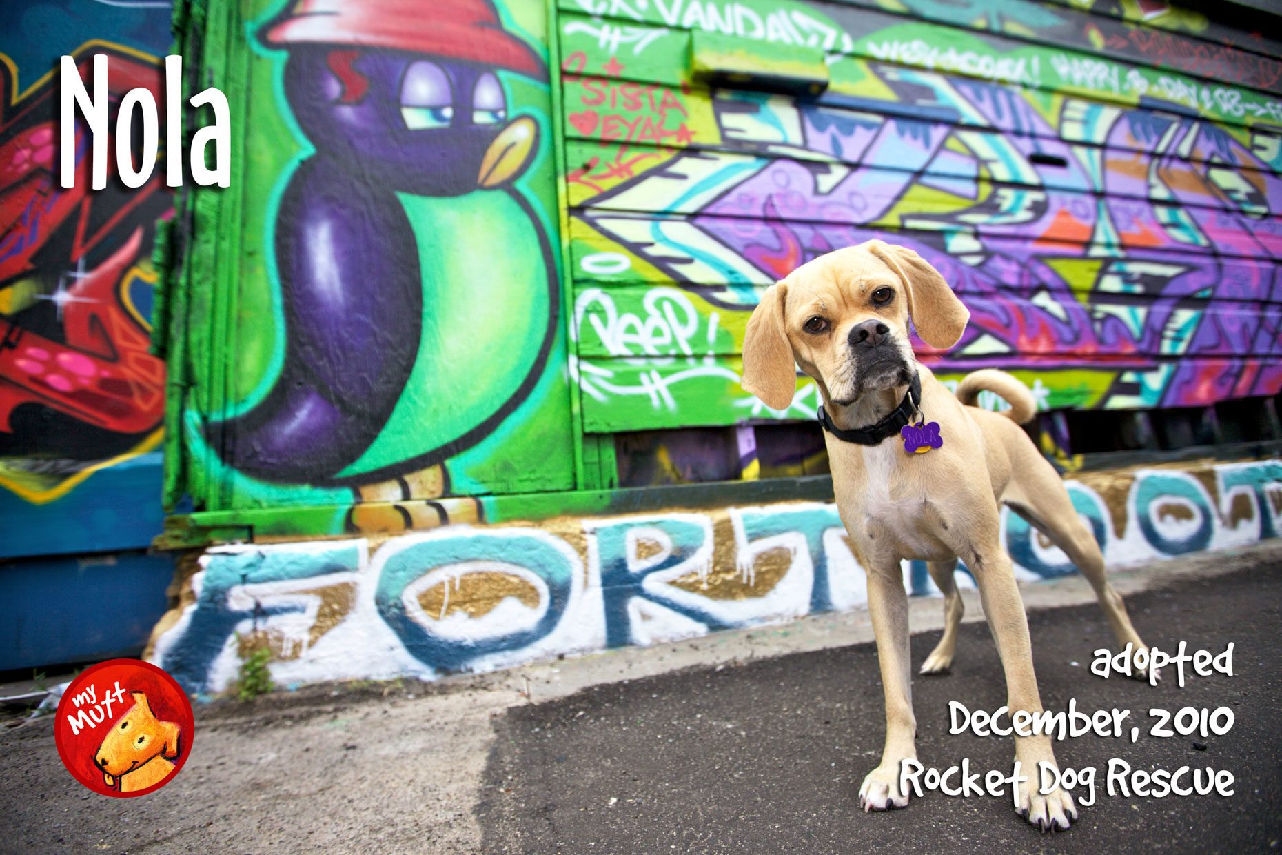 My Mutt Dog Rescue Poster Dog by Graffiti by Mark Rogers