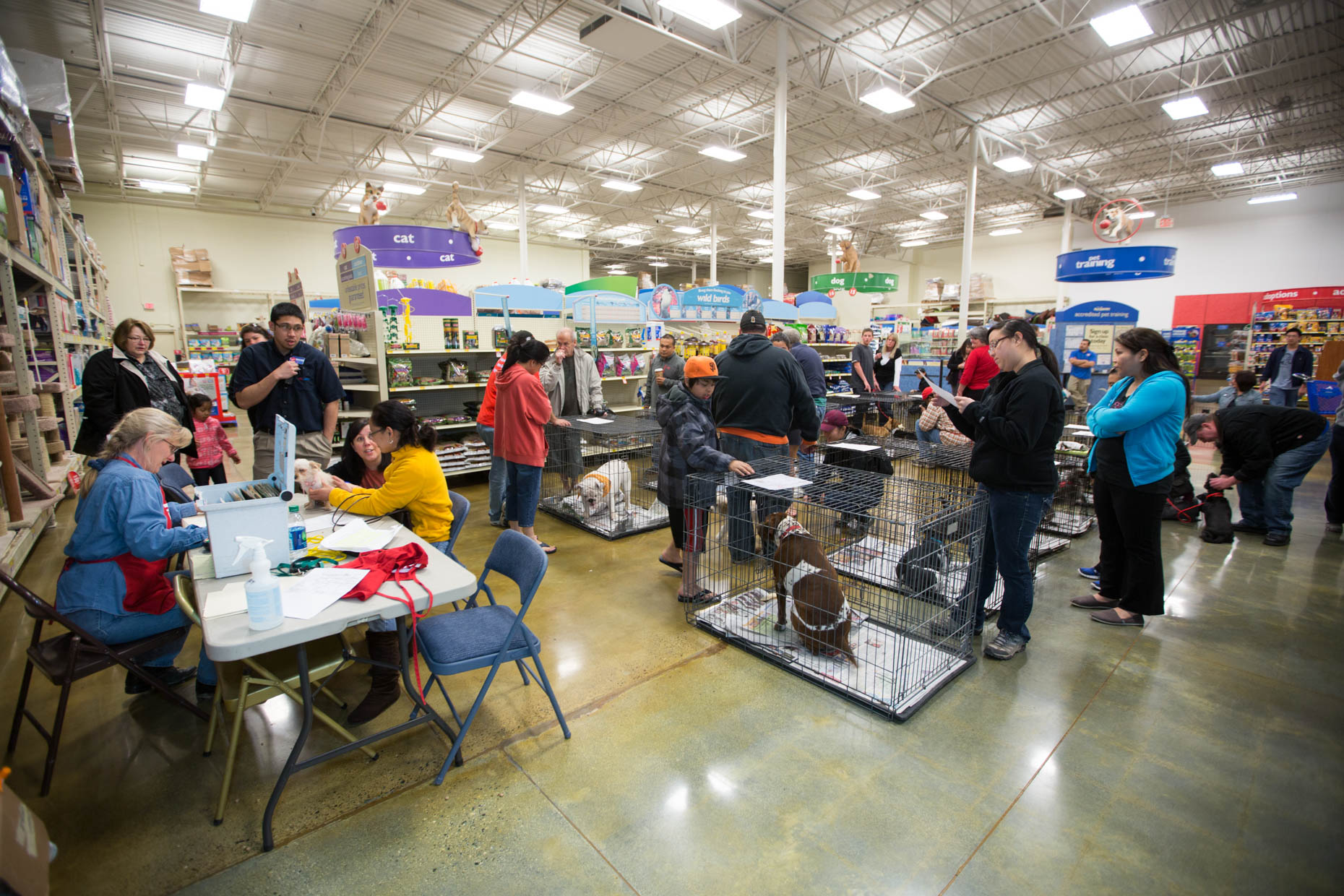 Adoption Event at PetSmart by Mark Rogers