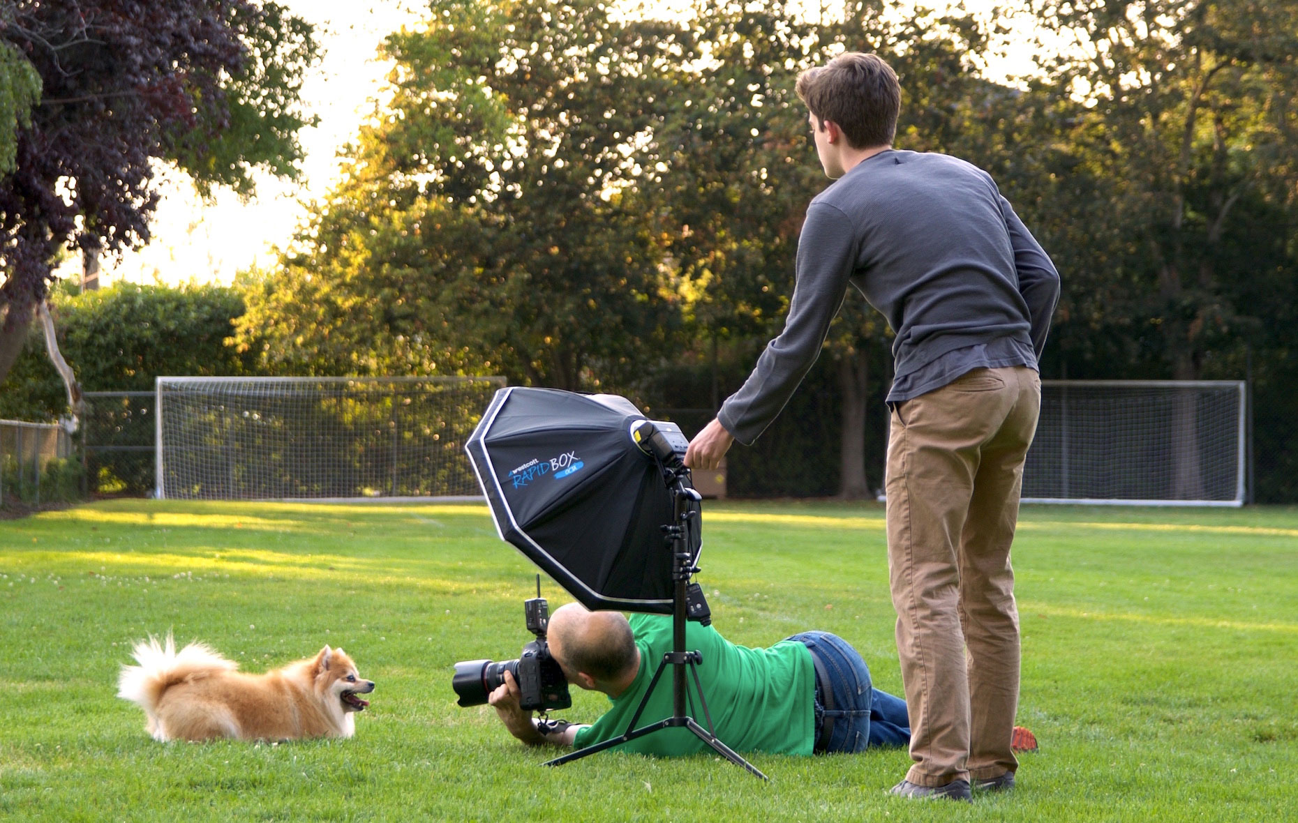 behind the scenes photo of pet photographer Mark Rogers working with assistant and Pomeranian