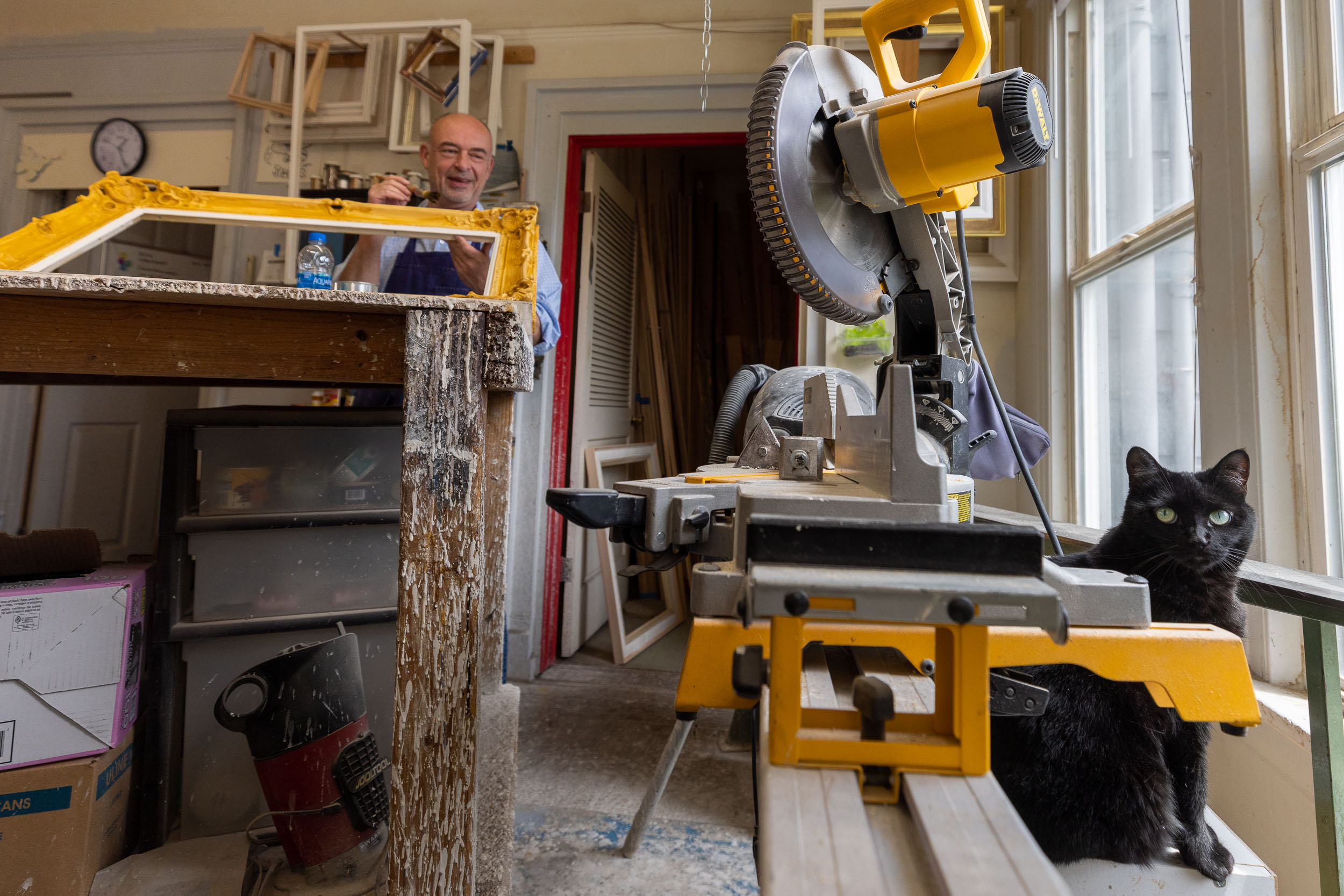 black-cat-in-framing-work-shop-with-man-5493