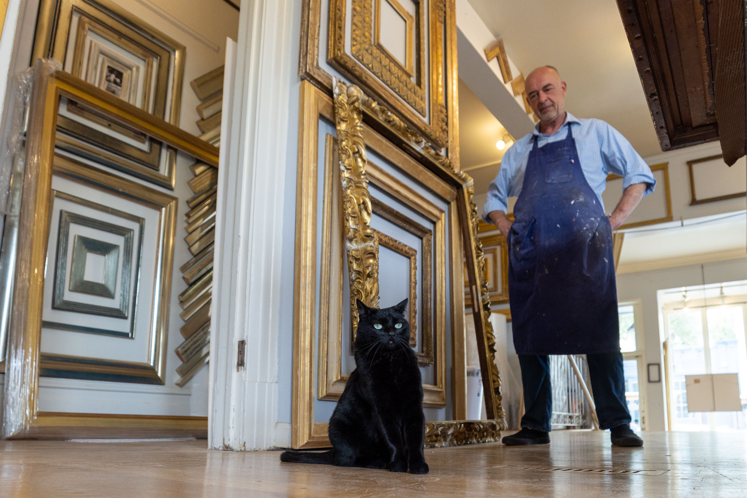 black-cat-in-san-francisco-frame-shop-with-owner-behind-5854