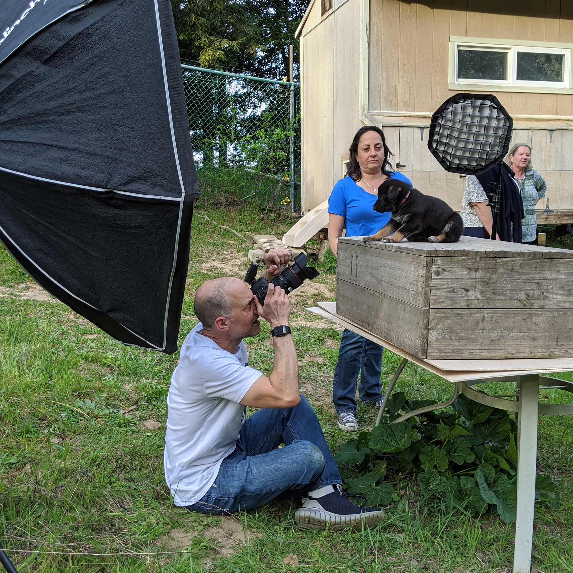 assistant holding puppy on crate during a dog photoshoot with pet photographer Mark Rogers