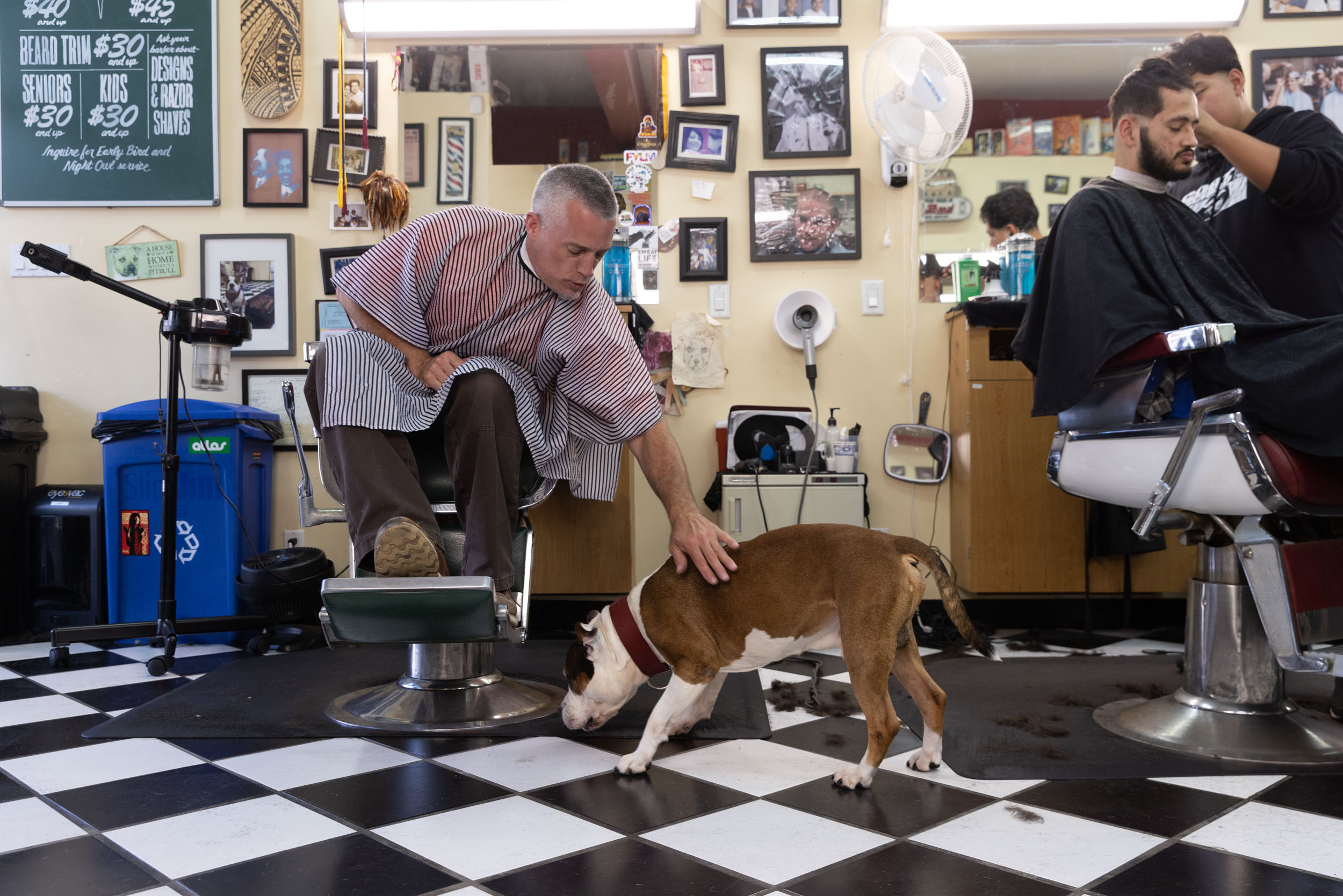 customer-in-Heffs-barbershop-pets-dog-6691RT