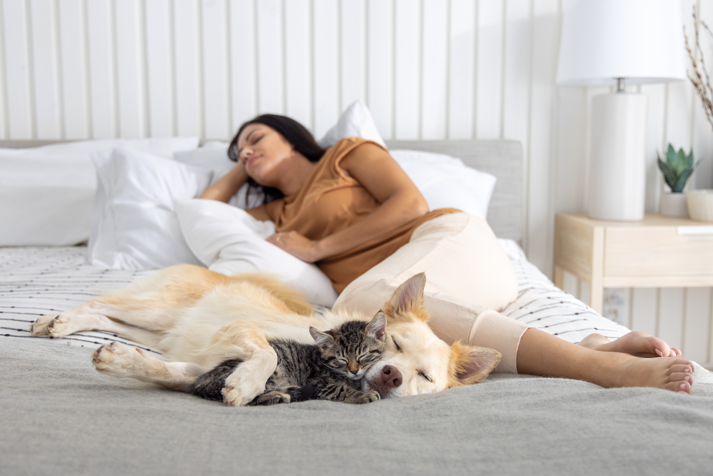 Pet and People Photography | Woman Sleeping with Kitten and Dog by Mark Rogers