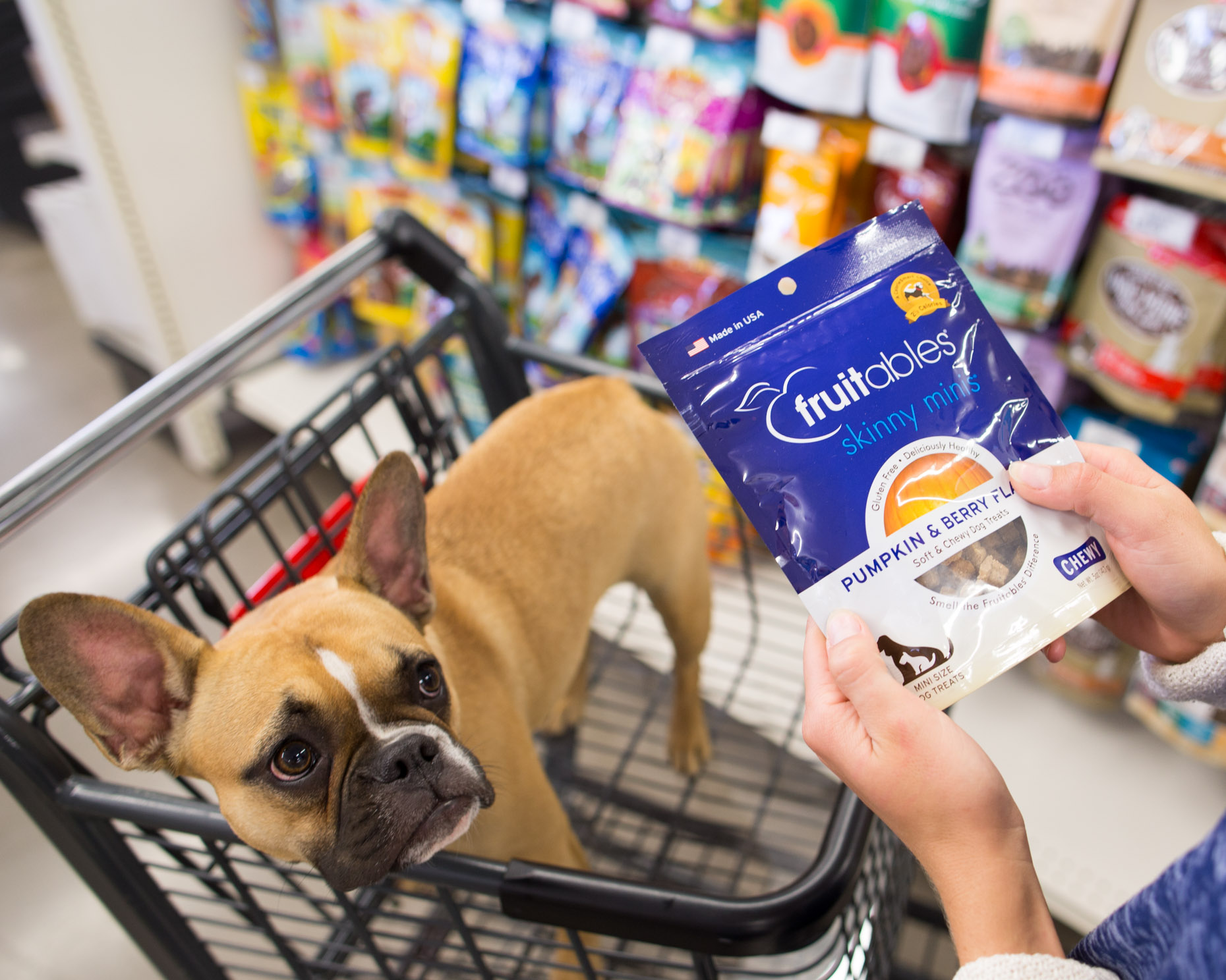 Pet Advertising Photography | Dog in Shopping Cart by Mark Rogers