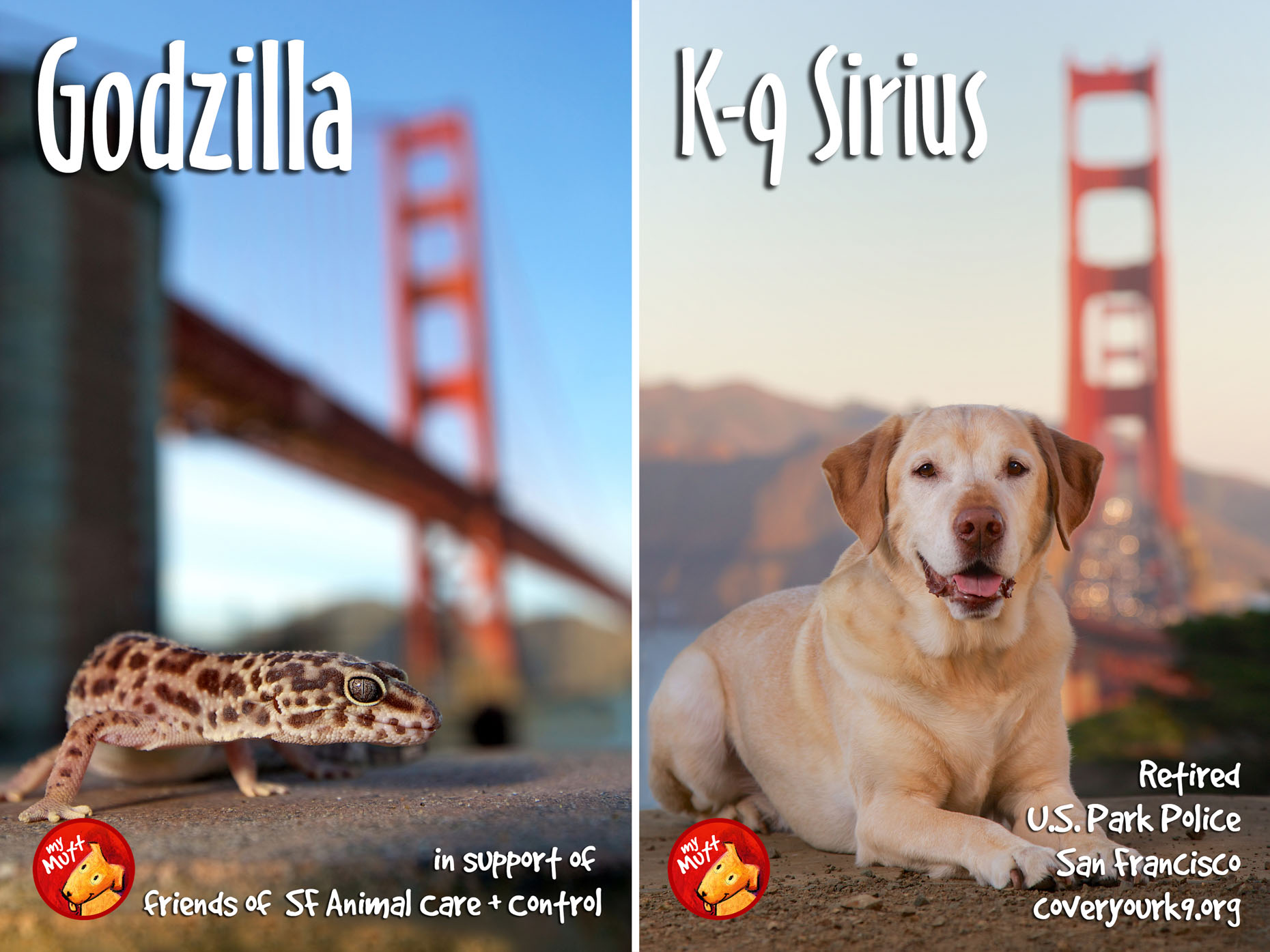 Animal Rescue Poster | Dog and Gecko Golden Gate Bridge by Mark Rogers