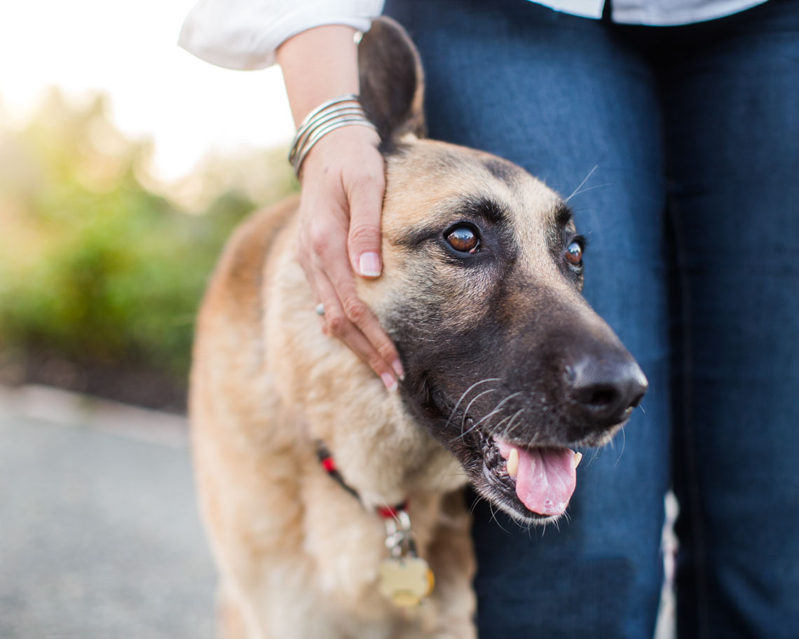 Pet and People Photography | German Shepherd Next to Woman by Mark Rogers