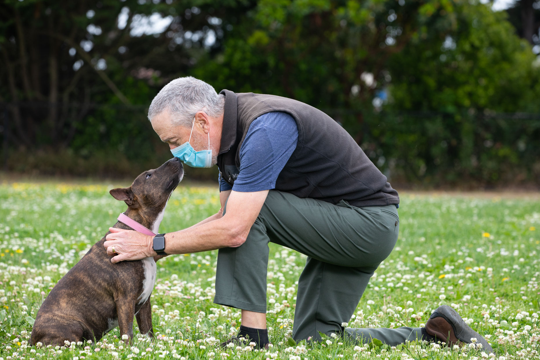 older man with gray hair and wearing surgical mask pets a small bull terrier mix dog