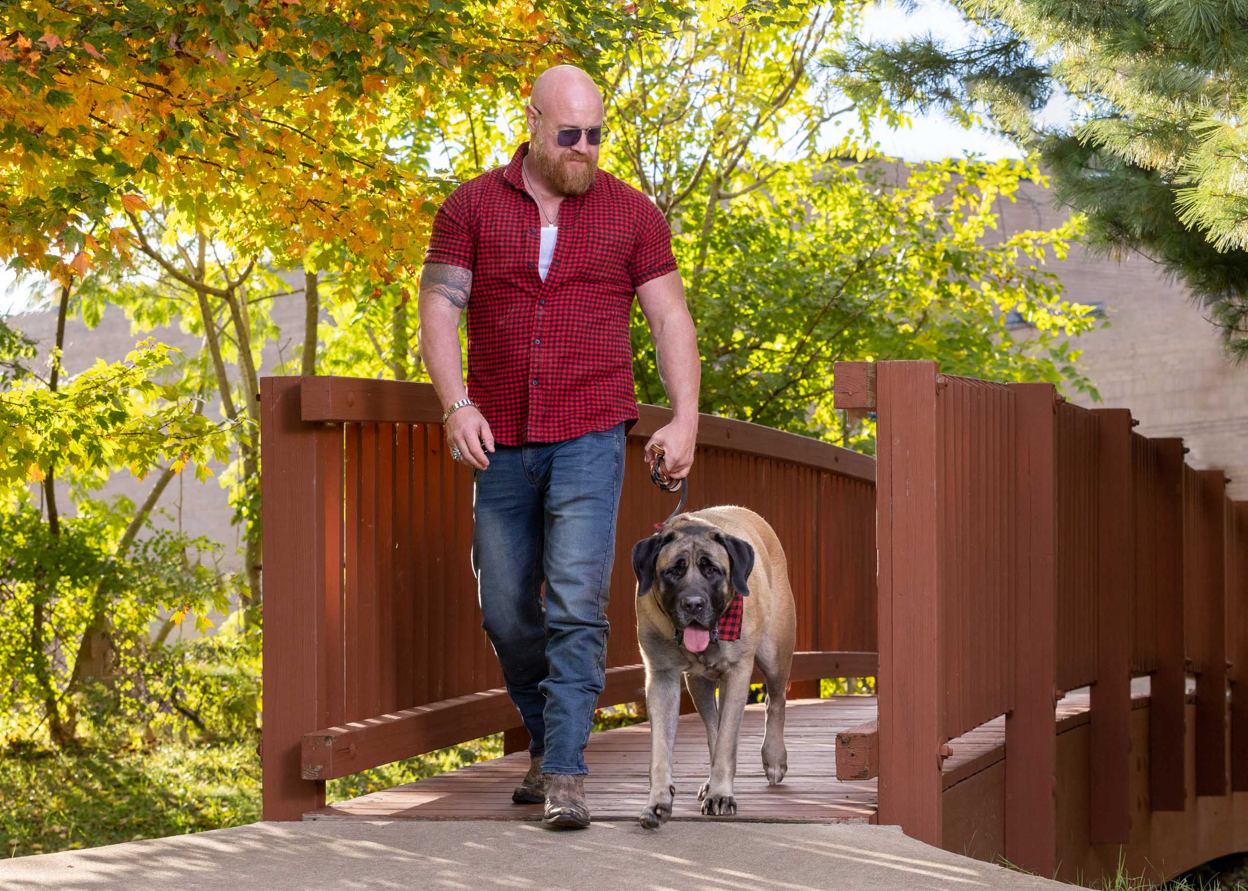 Pet Lifestyle Photography | Large Man Walking Large Dog by Mark Rogers