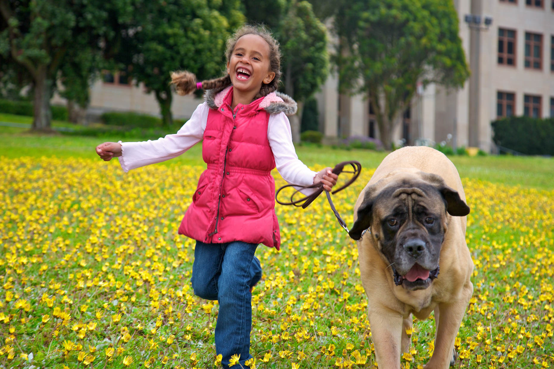Dog and Pet Photography | Little Girl with Big Dog by Mark Rogers