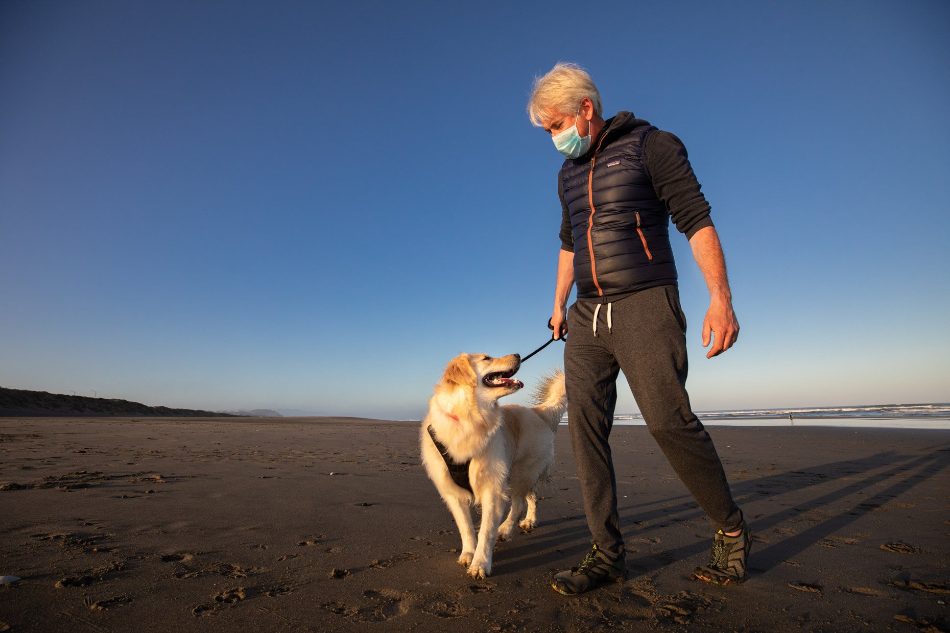 man wearing surgical mask and walking his golden retriever on the beach