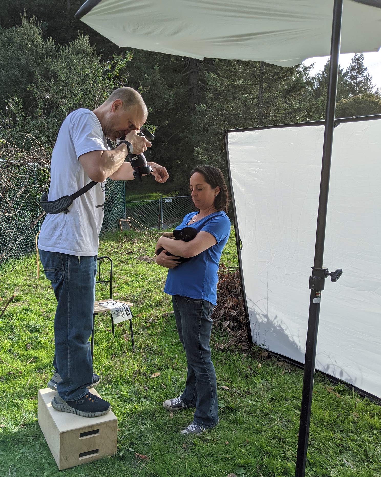 behind-the-scenes image of mark rogers photographing a puppy from above