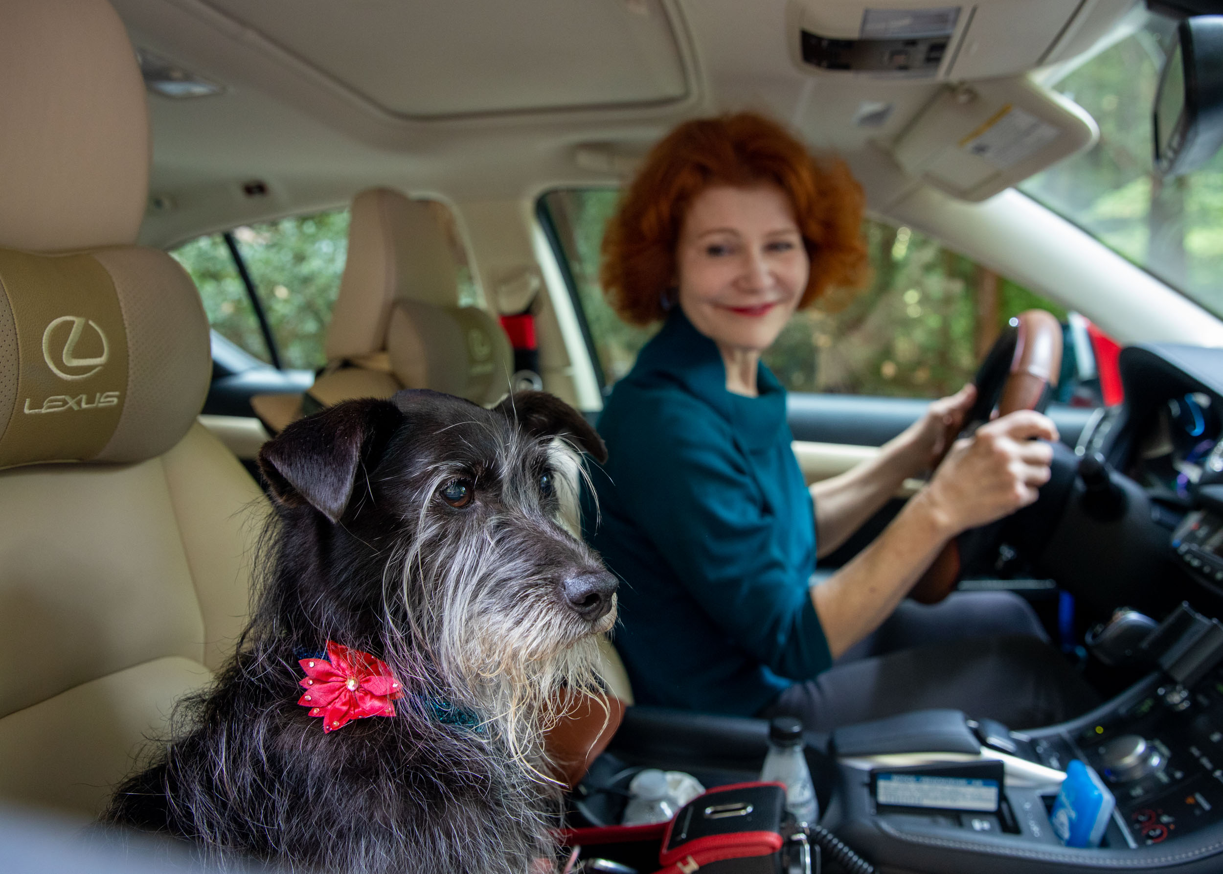 Dog Lifestyle Photography | Woman Driving Dog by Mark Rogers