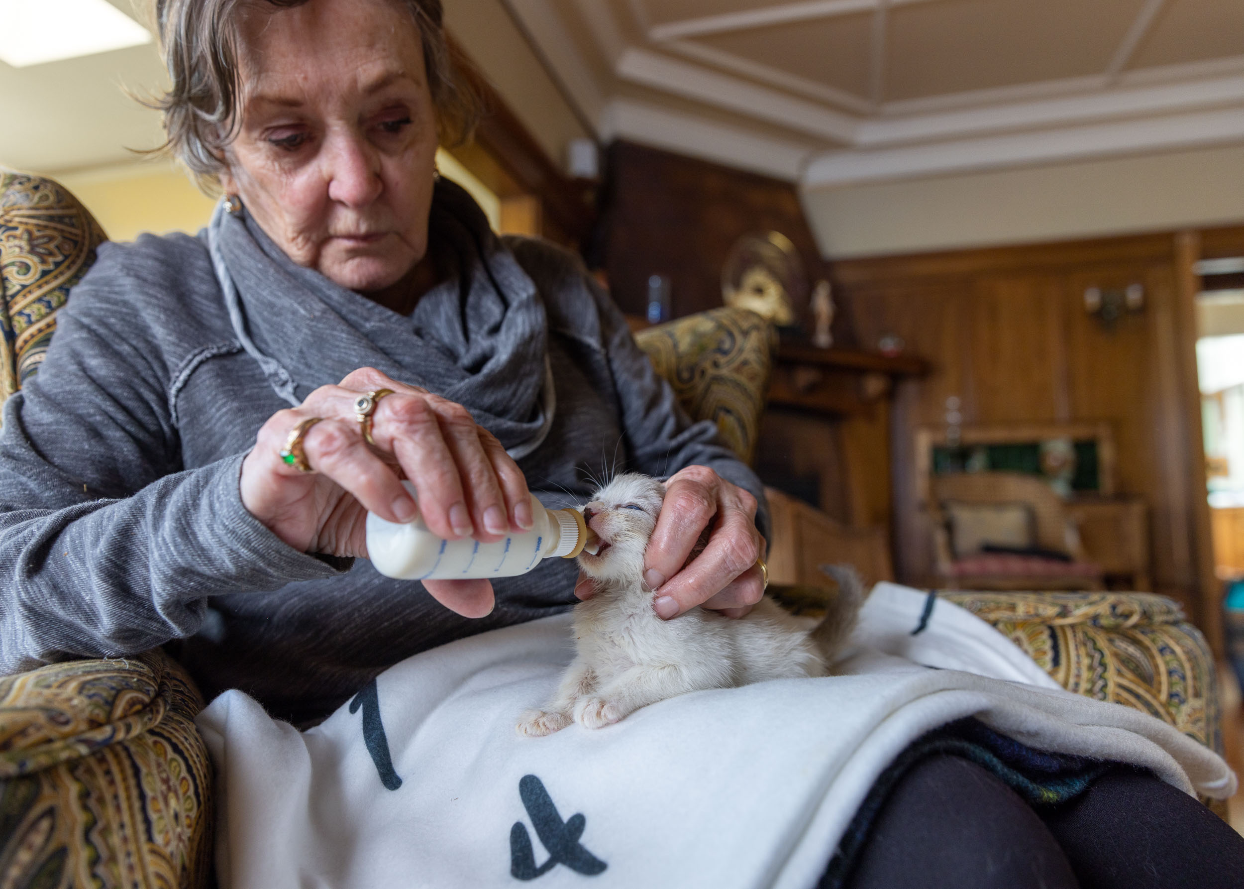 Animal Welfare Photography | Older Woman Feeding Kitten