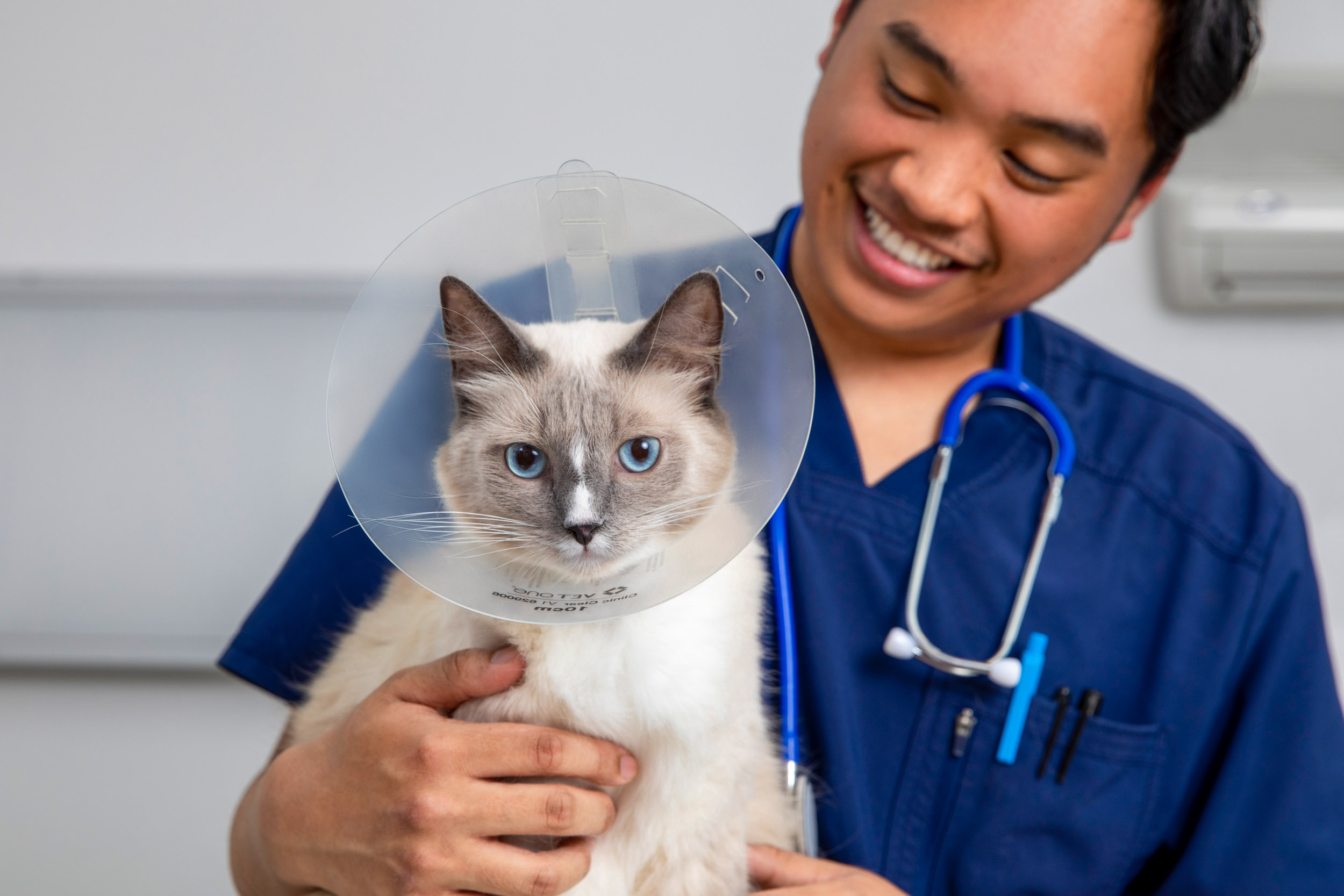 Cat Lifestyle Photography | Cat and Veterinary Tech by Mark Rogers