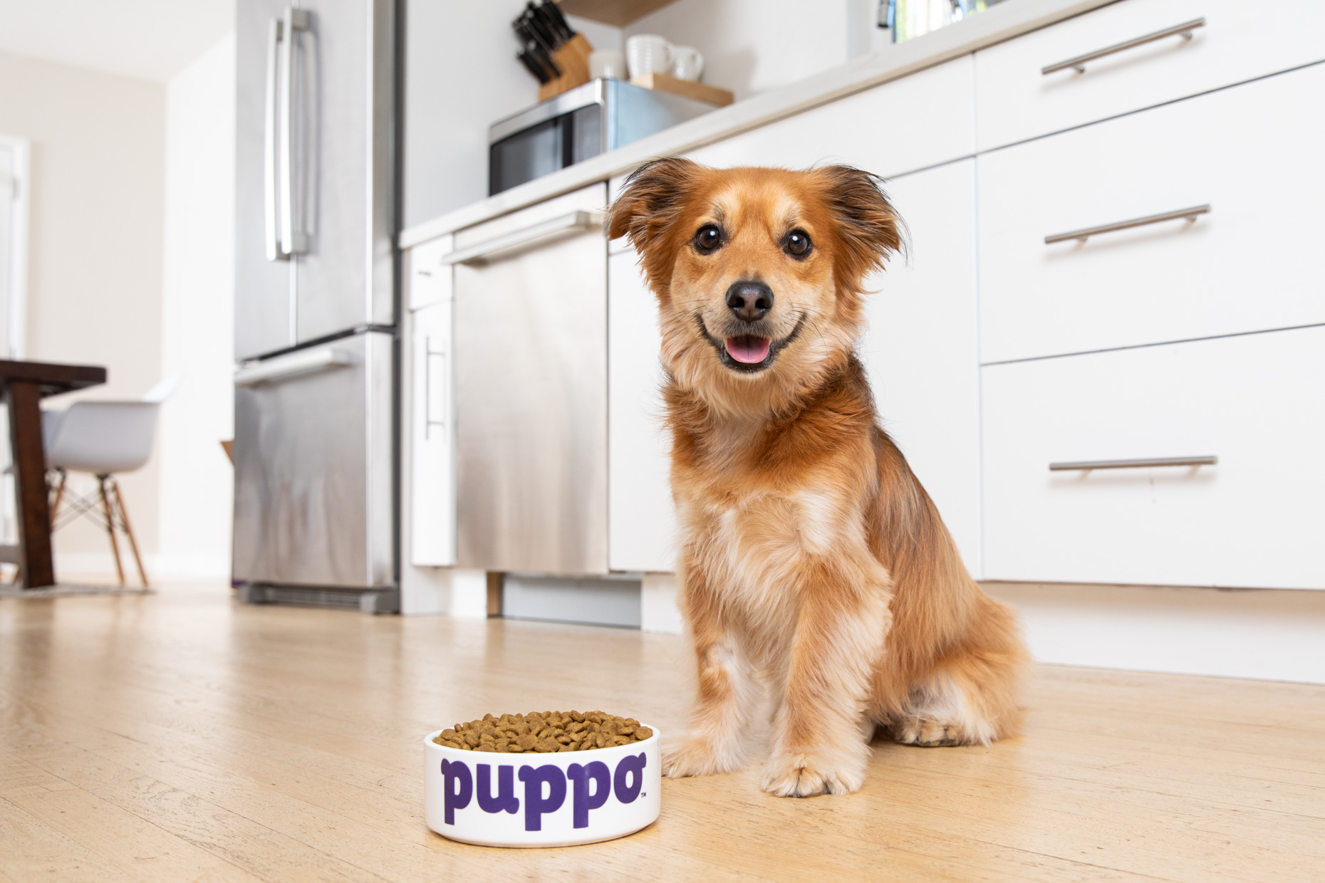 smiling dog sitting behind food bowl