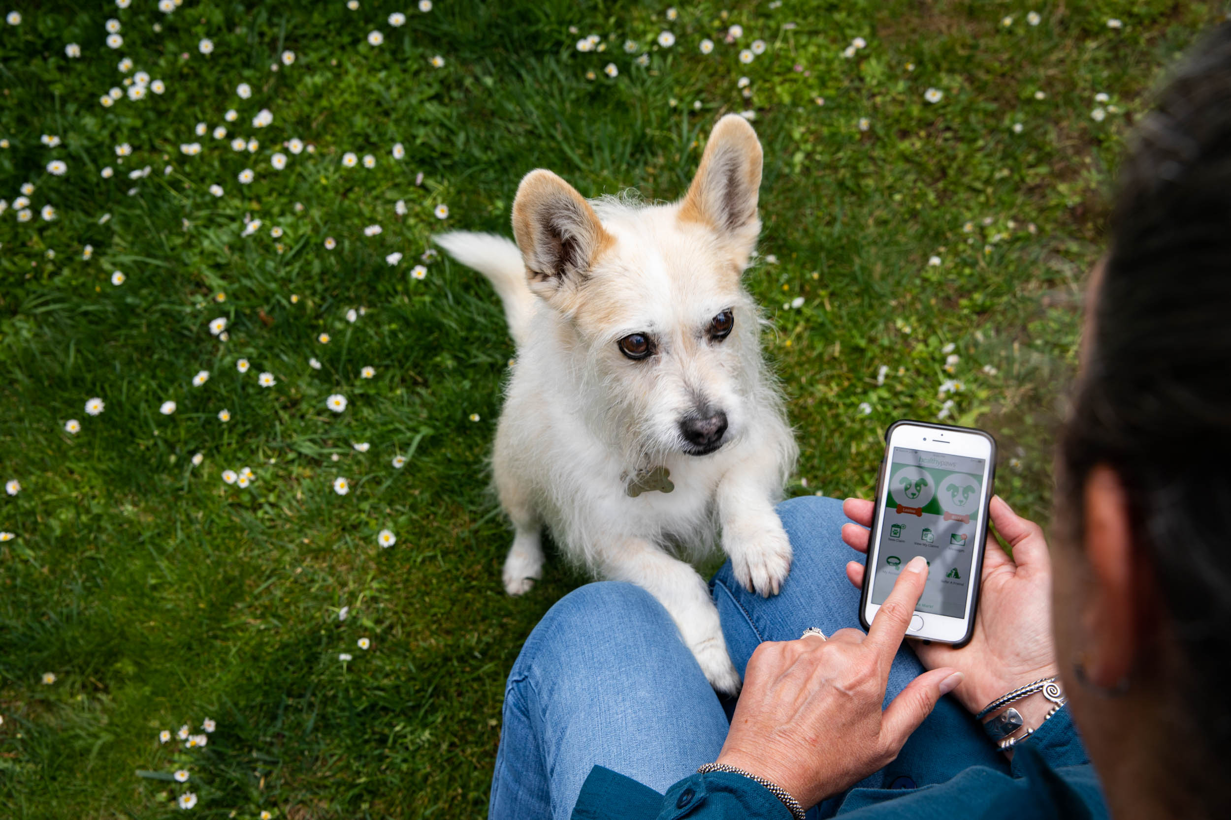 Commercial Pet Photography | Dog Looking up at Cell Phone by Mark Rogers