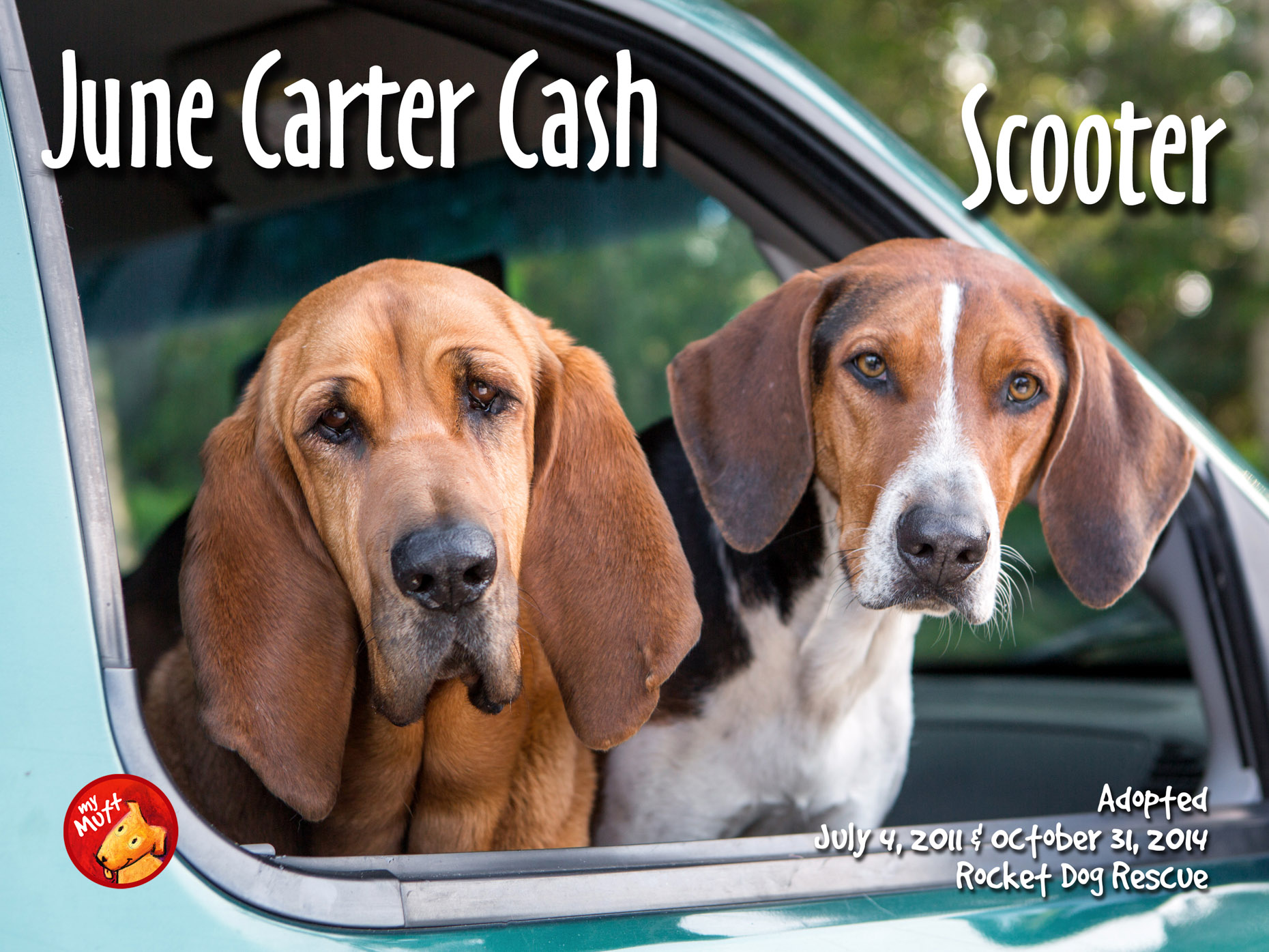 two hounds in a car window