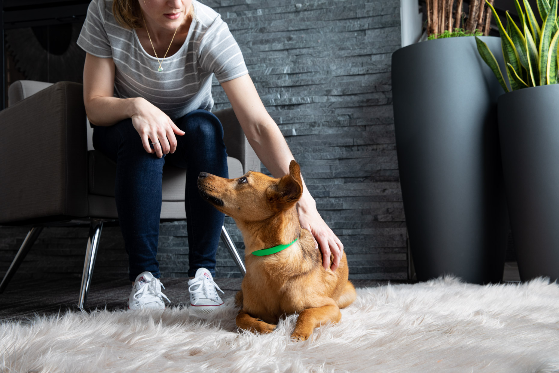 Pet Lifestyle Photography Woman Pets Dog on Rug by Mark Rogers