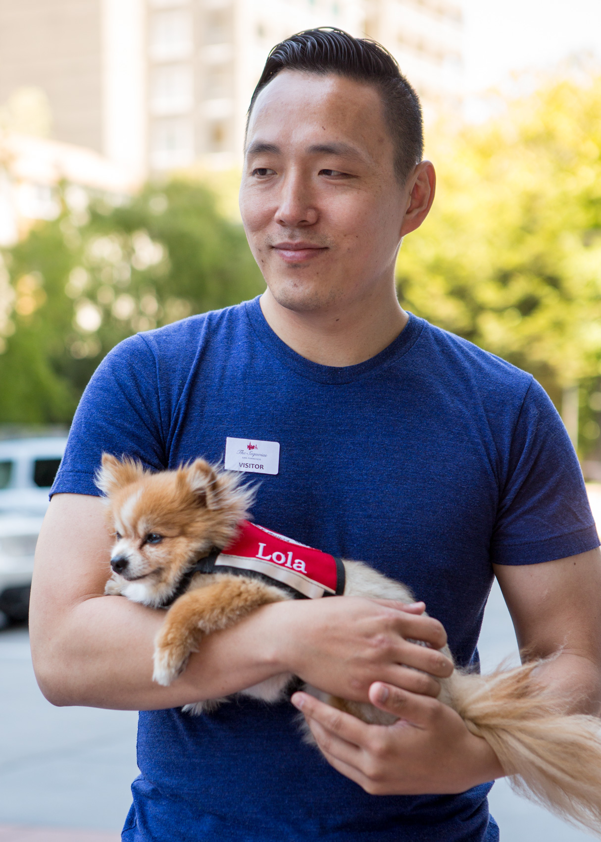 Spca best sale therapy dog