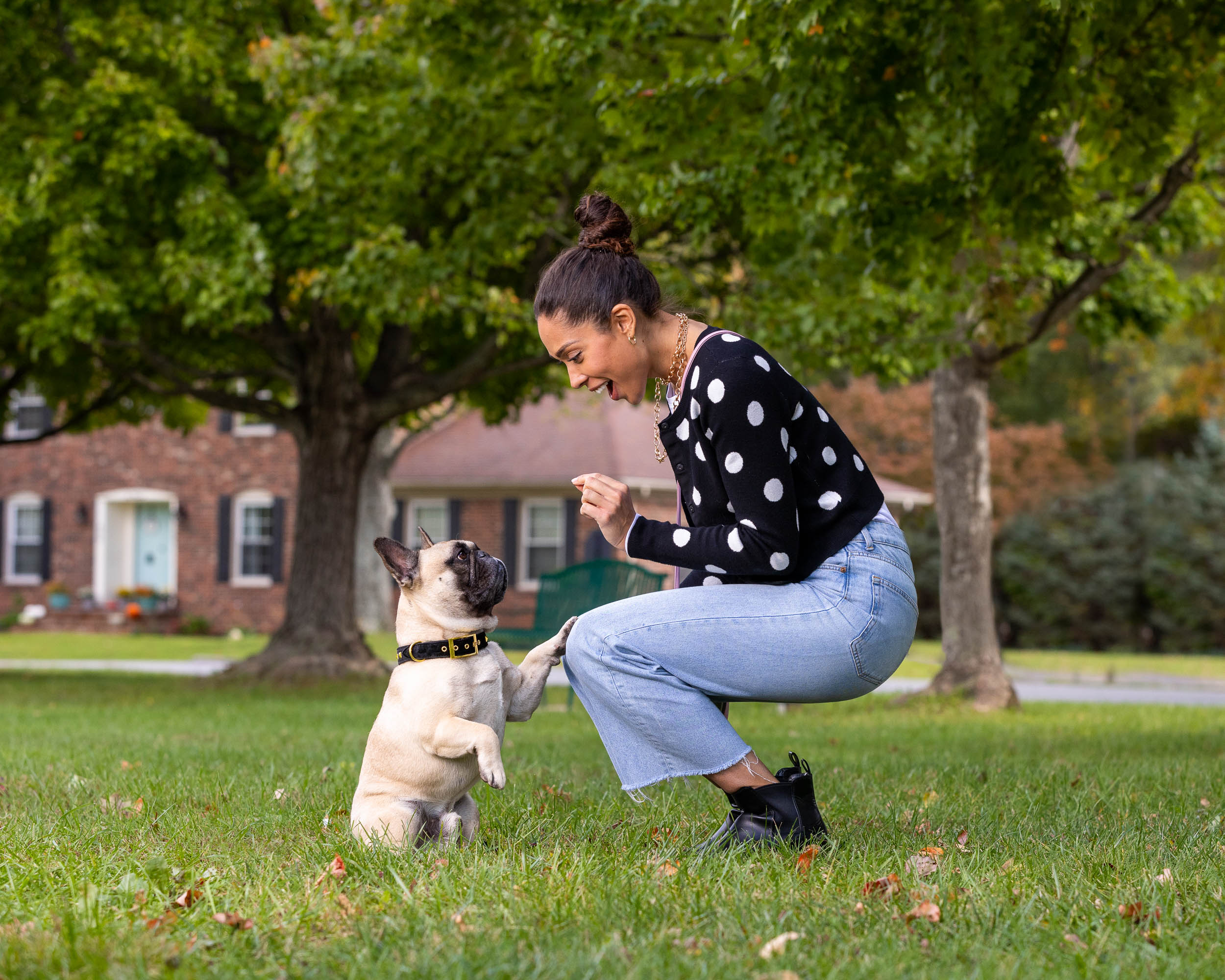 Pet Advertising Photography | Woman Feeding Treat to Dog