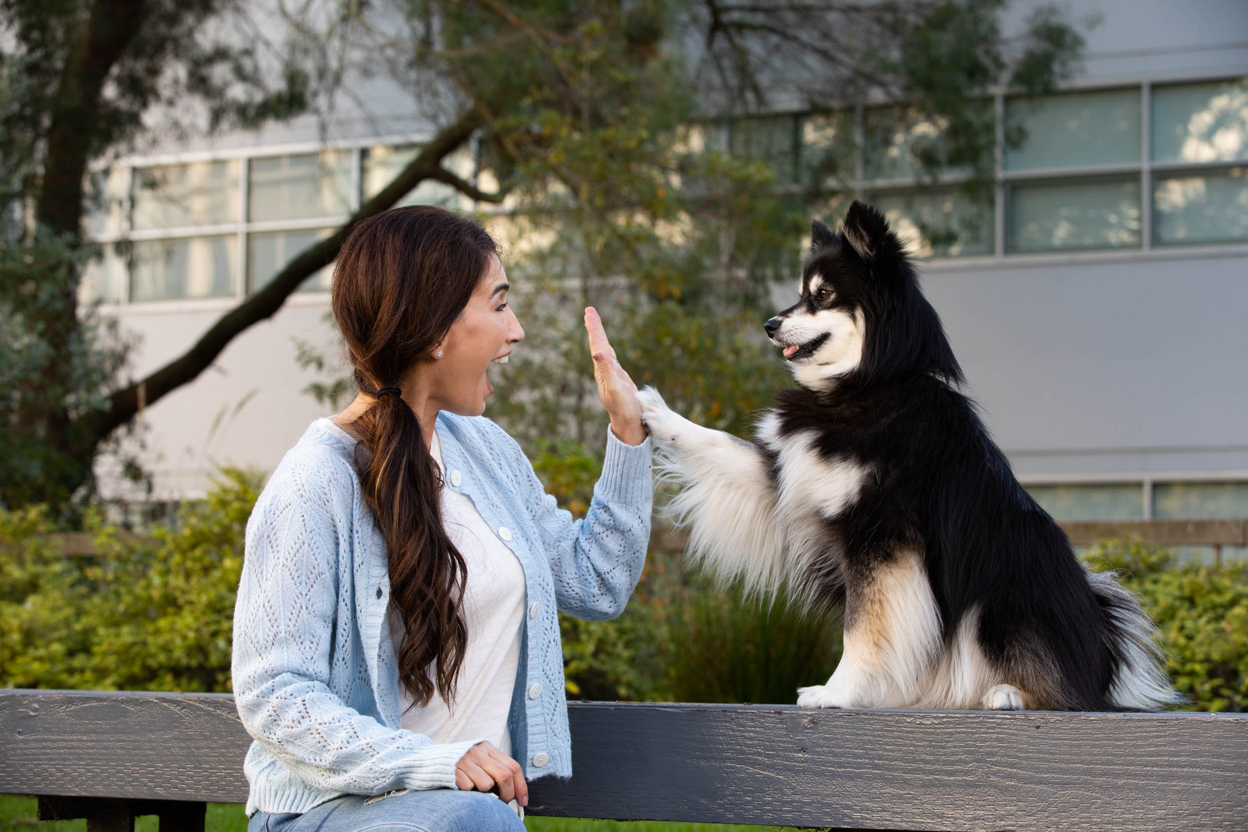Dog and People Photography | Woman High-Fives Dog by Mark Rogers
